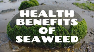 Health Benefits Of Seaweed | The Health Benefits Of Seaweed | Health Benefits Of Eating Seaweed