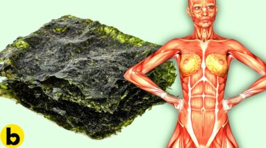 Eating Seaweed Everyday Will Do This To Your Body