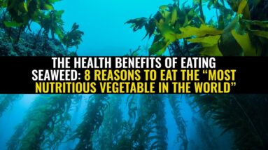 The health benefits of eating seaweed: 8 Reasons to eat the “most nutritious vegetable in the world”