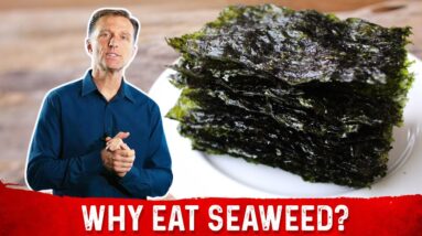 The Benefits of Roasted Seaweed